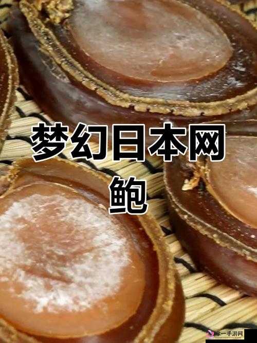 鲍鲍的精彩世界：探索未知的私密领域